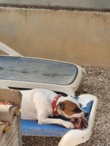 IMG-20250921-WA0005