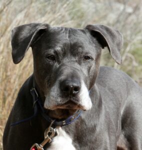 2akira_IMG_1895x