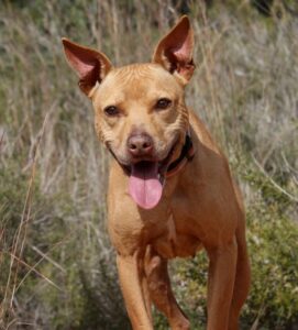 2akira_IMG_2100x