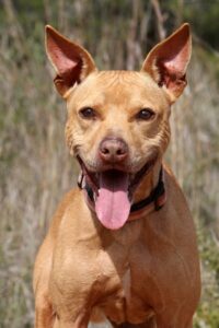 2akira_IMG_2129x