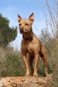 2akira_IMG_2231x