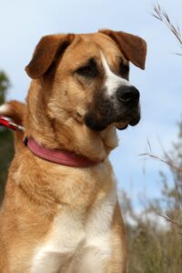 2akira_IMG_2366