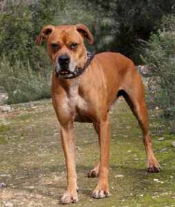 2akira_IMG_2423x