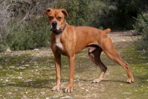 2akira_IMG_2453x