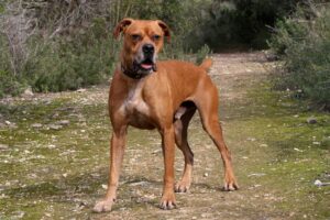 2akira_IMG_2467x