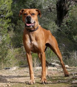 2akira_IMG_2509x