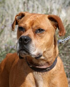 2akira_IMG_2573x