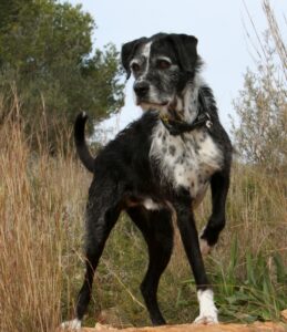 2akira_IMG_2642x