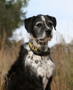2akira_IMG_2722x