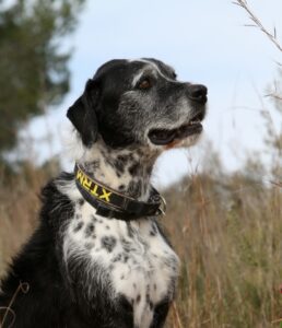2akira_IMG_2730x