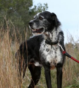 2akira_IMG_2765x
