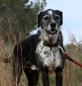 2akira_IMG_2769x