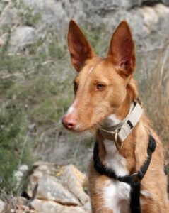 2akira_IMG_3330
