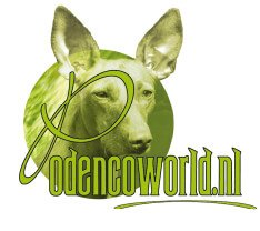 Logo Podencoworld