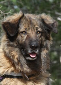 deel3akira_IMG_3527
