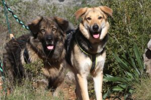 deel3akira_IMG_3576