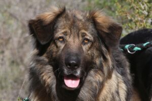 deel3akira_IMG_3625