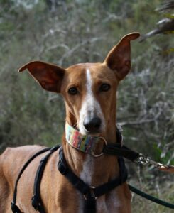 deel3akira_IMG_4560