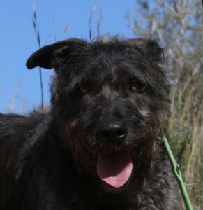 deel3akira_IMG_5037