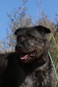 deel3akira_IMG_5055