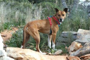 deel3akira_IMG_5225