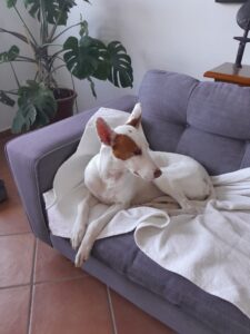 IMG-20260524-WA0014