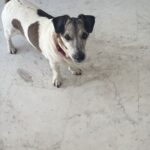 IMG-20260331-WA0017