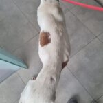 IMG-20260628-WA0014